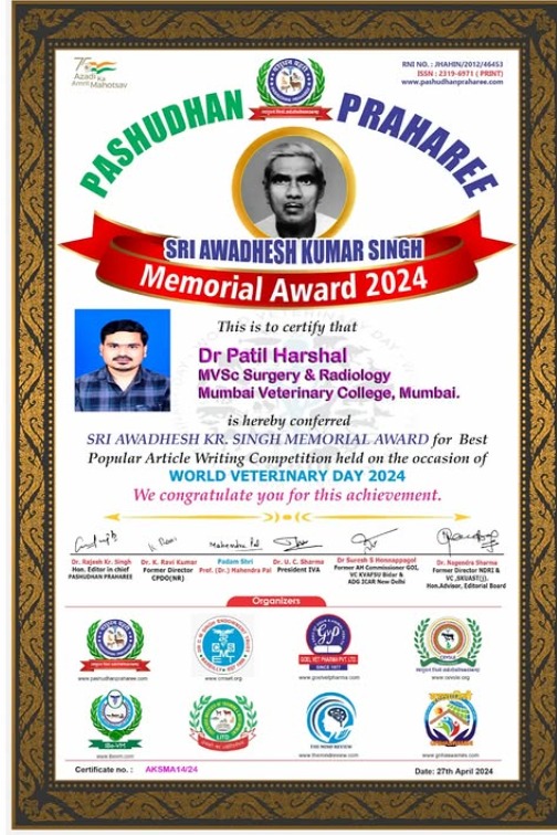 Shri Awadesh Kumar Memorial Award